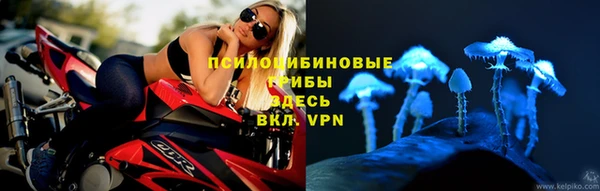 таблы Аркадак